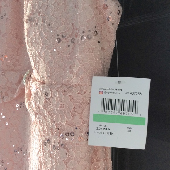 NWT RM Richards Nightway Sequin Evening Gown - Picture 5 of 9